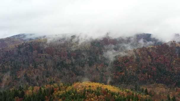 Vivid Autumn Landscape Mountains Woods Haze Carpathians — Stok video