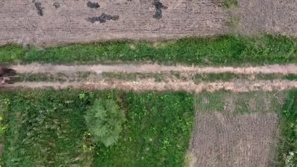 Aerial View Wooden Wagon Hay Move Dirt Road Top View — Vídeo de Stock
