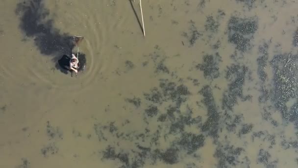 Fisherman Catches Fish Large Net Drained Pond — 비디오