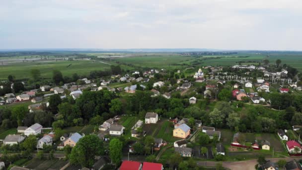 Group Swallows Flies Ukrainian Village Aerial View — Video