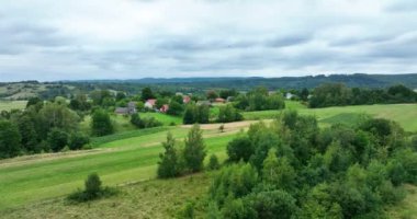 Natural rural landscape with white storks in sky, crane shot. Preparatory flights on the eve of migration to warm regions. August month. Wildlife. Aerial Drone view, 4K