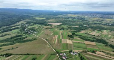 Scenic aerial panoramic landscape with flock of white storks in sky. Preparatory flights on the eve of migration to warm regions. August month. Wildlife. Aerial Drone view, 4K