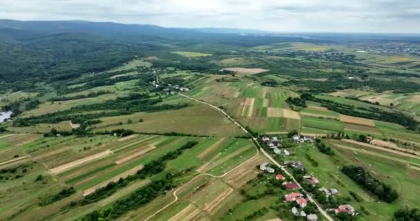 Rural Area Landscape White Storks Flies Sky Preparatory Flights Eve — Video