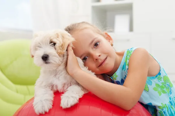 Little girl playing with her small fluffy dog Stock Picture