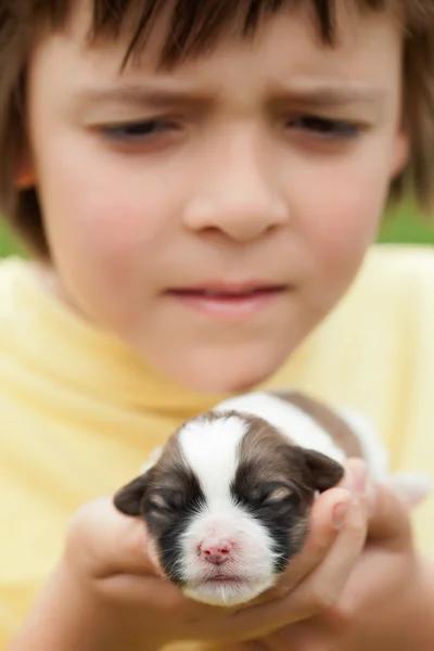 Jonge jongen bedrijf pasgeboren puppy hondje met grote zorg — Stockfoto