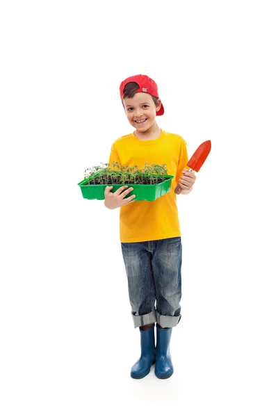 Ung pojke med plantor redo för trädgårdsarbete — Stockfoto