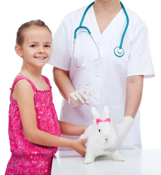 Meisje op de veterinaire met haar schattig wit konijn Stockfoto