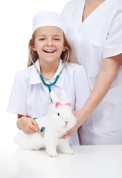 少しの女の子彼女のウサギの獣医 ストック画像
