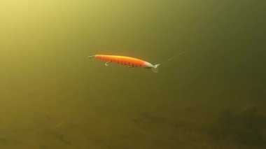 Minnow fishing lure for pike and bass underwater at constant speed