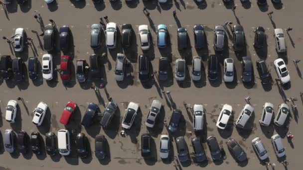 Used Cars Auto Market Drone View Video — Stock Video