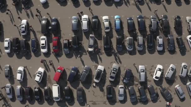 Rynek Pojazdów Pokaż Nagrania Dronów Tłum Kupujących Szukających Samochodu — Wideo stockowe