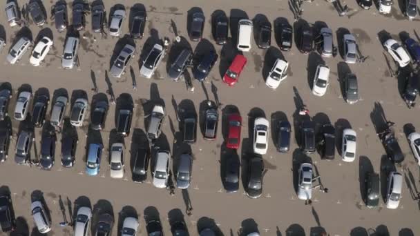 Different Used Cars Auto Market Drone Video — Stock Video