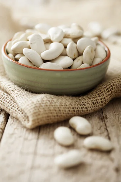 White beans — Stock Photo, Image