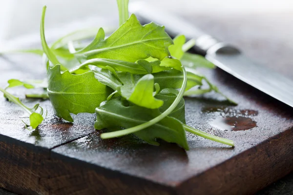 Frischer Rucola — Stockfoto