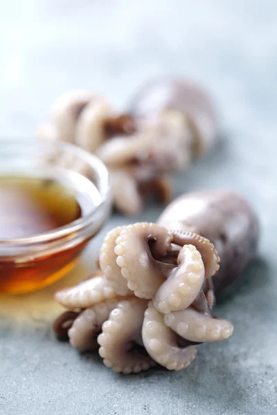 Čerstvá chobotnice — Stock fotografie