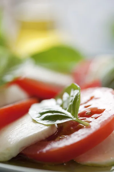 Caprese salatası — Stok fotoğraf