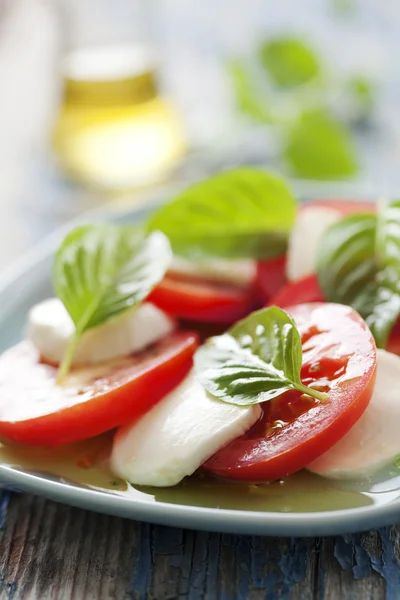 Salade caprese Stockafbeelding