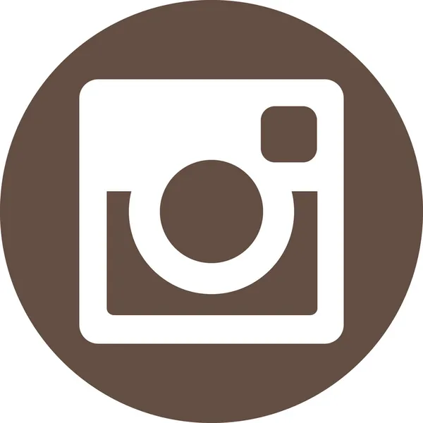 Özgün web instagram simgesi — Stok Vektör