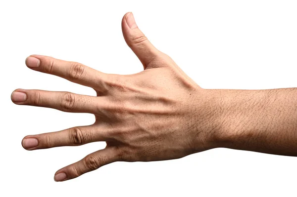 Κοντινό Χέρι Δείχνει Δάχτυλο Νούμερο Πέντε Απομονωμένο Λευκό Φόντο Μονοπάτι — Φωτογραφία Αρχείου