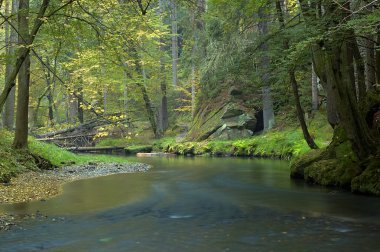 ağaçları ile sonbahar Nehri