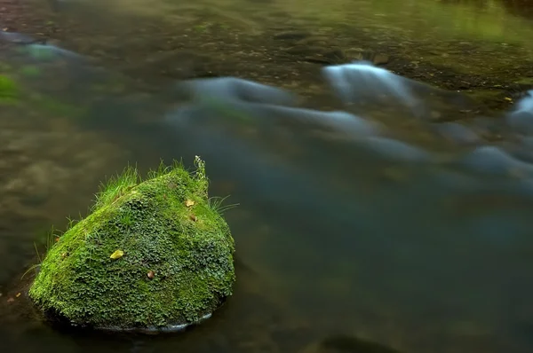 Stone in water — Stock Photo, Image