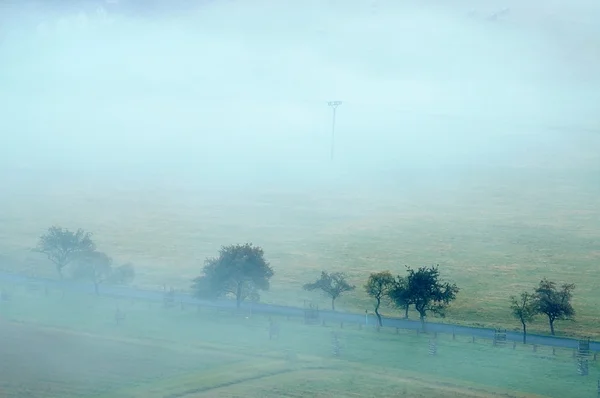 Árboles en la niebla —  Fotos de Stock