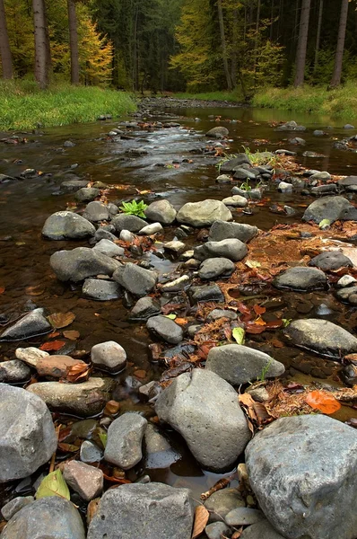 Fluss mit Steinen — Stockfoto