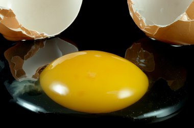 bir kabuğu ile yumurta sarısı