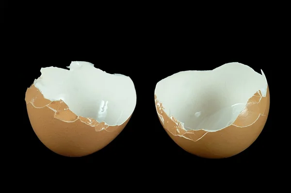 Schalen aus Eiern — Stockfoto
