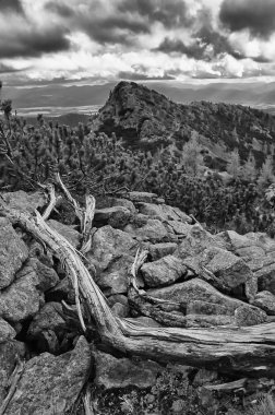 Slovakya'nın Dağları