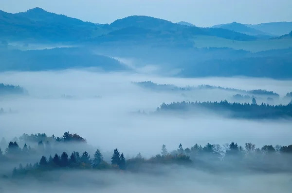 Холмистый пейзаж с туманом — стоковое фото