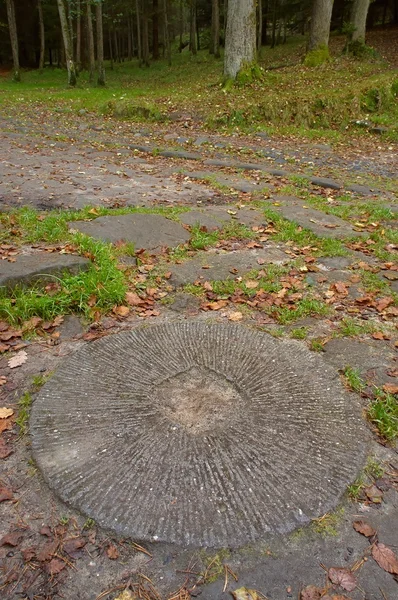 Piedra de molino —  Fotos de Stock