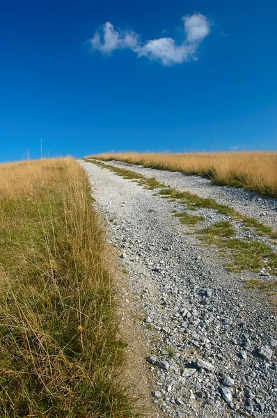 Kayalık yol — Stok fotoğraf