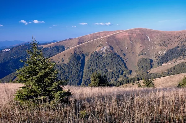 Slovakya'nın Dağları — Stok fotoğraf