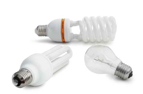 Bulbs Stock Photo