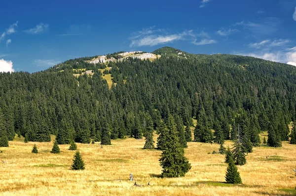 Slovak dağlarının görünümü — Stok fotoğraf