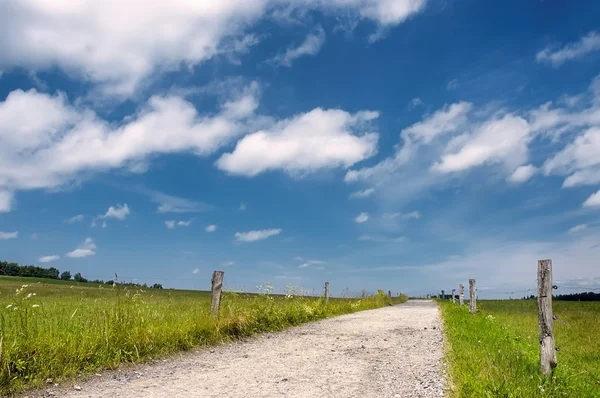 Taşlı yolu — Stok fotoğraf