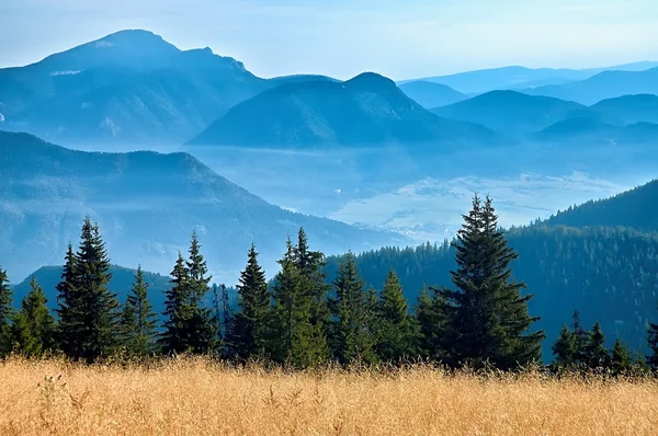 slovak dağlarının görünümü