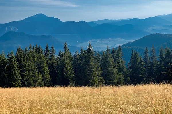 Vista das montanhas eslovacas — Fotografia de Stock