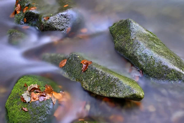 Autumn brook — Stock Photo, Image