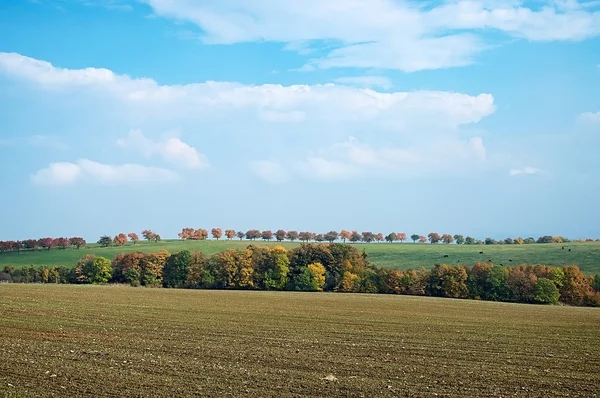 Paisagem de outono — Fotografia de Stock