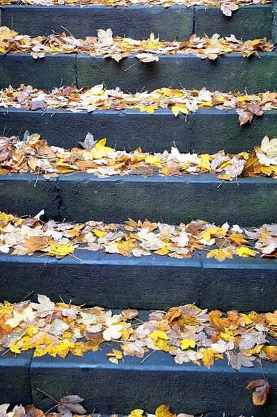 Urban stairs — Stock Photo, Image