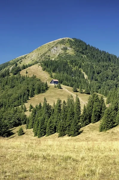 スロバキア山 — ストック写真