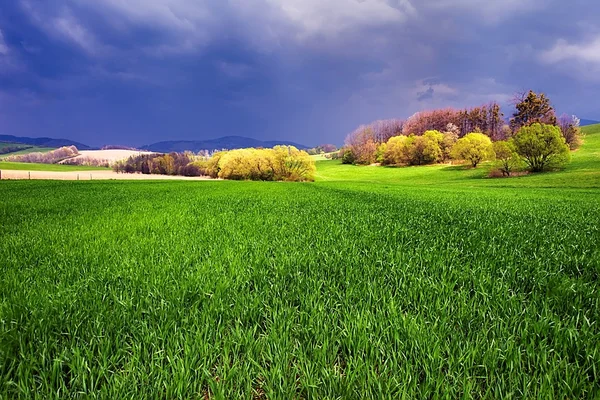 Paisaje primavera —  Fotos de Stock