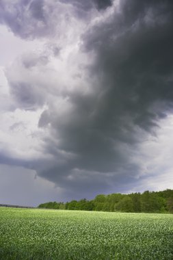 Fırtınadan önce manzara