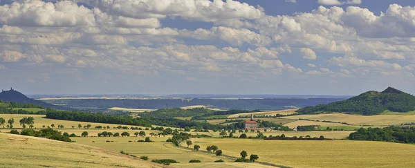 Agricultural landscape — Stock Photo, Image