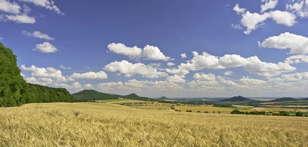 Agrarische landschap — Stockfoto