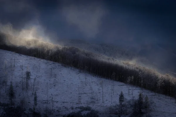 View Windy Mountain Slope Beech Trees — Stock Photo, Image