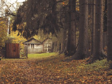 orman içinde yazlık