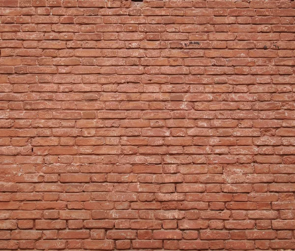 Brick texture — Stock Photo, Image